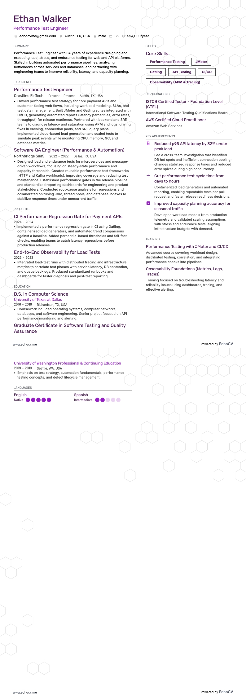 Ingenieur für Performance-Tests example resume