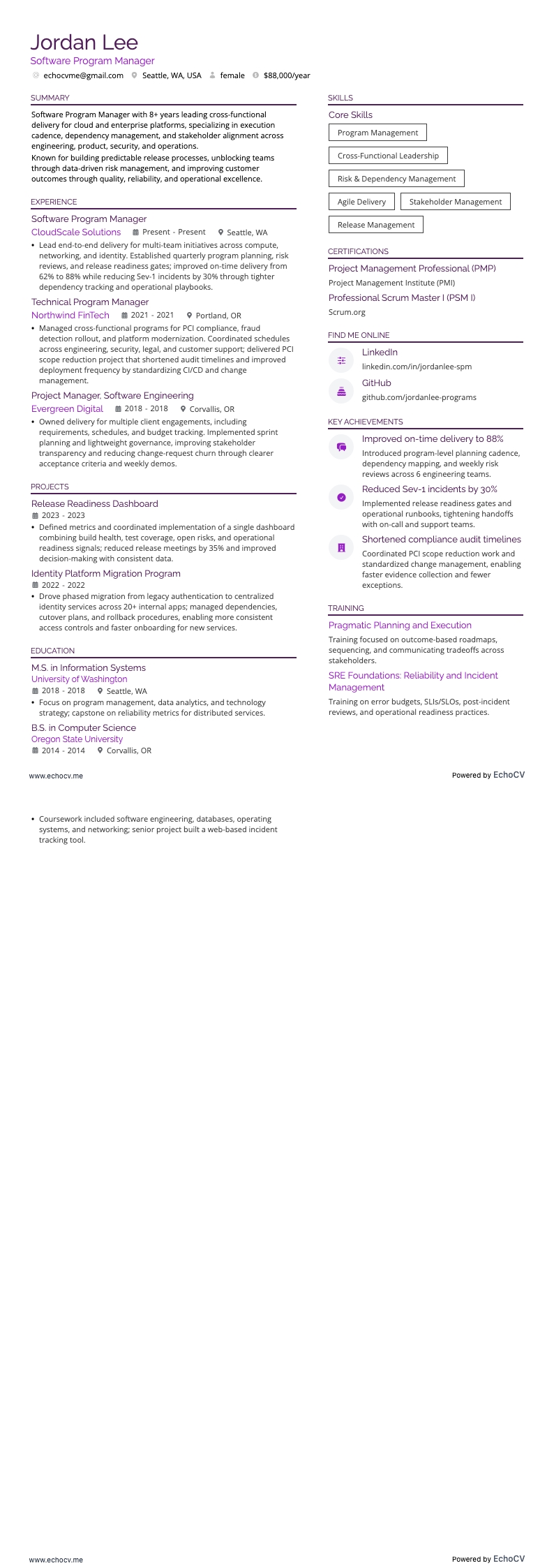 Software Program Manager example resume