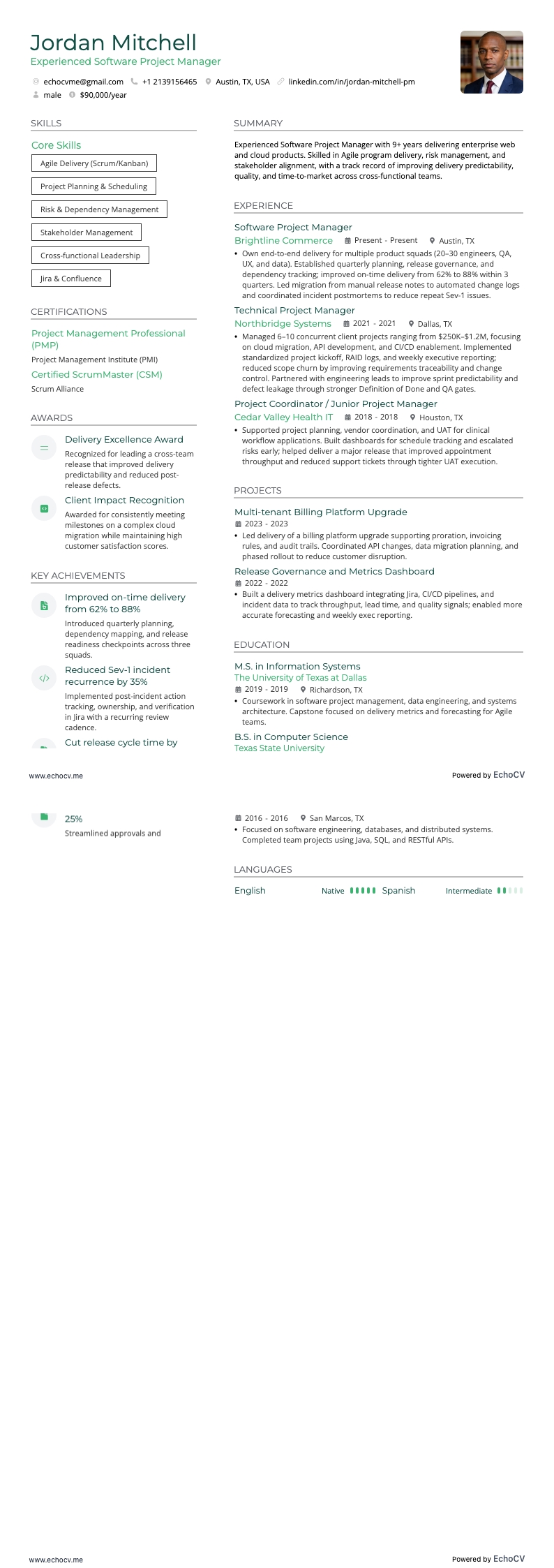 Experienced Software Project Manager full preview