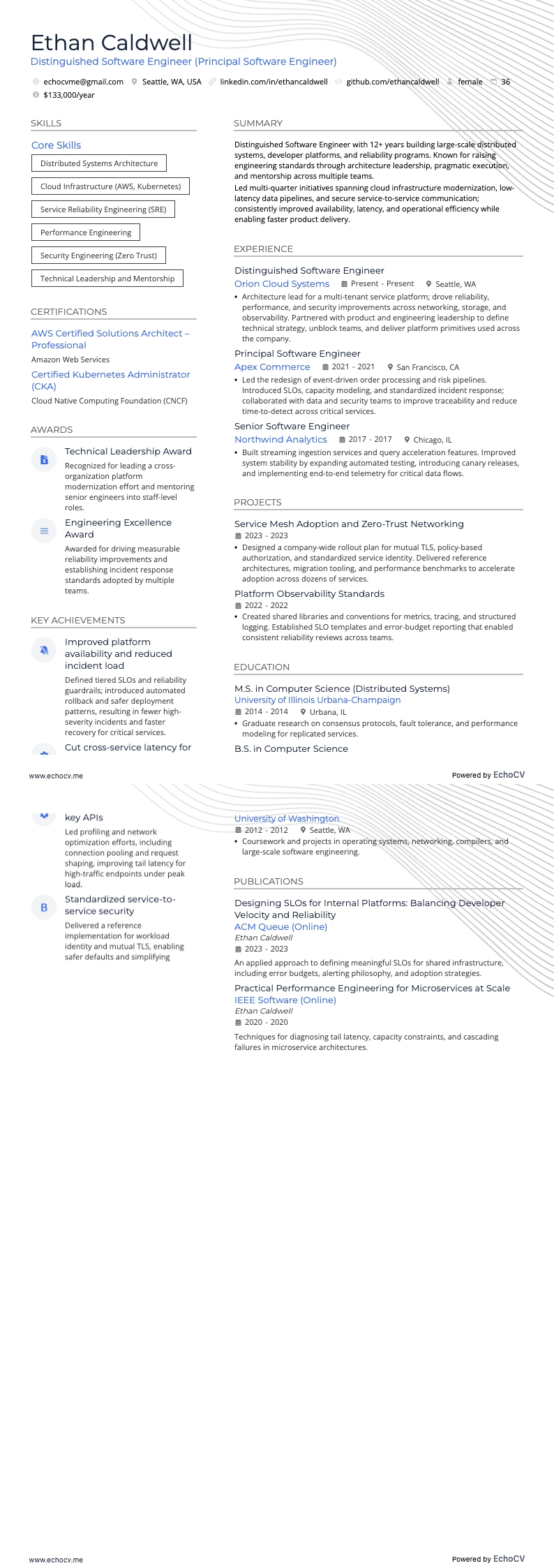 Distinguished Software Engineer full preview