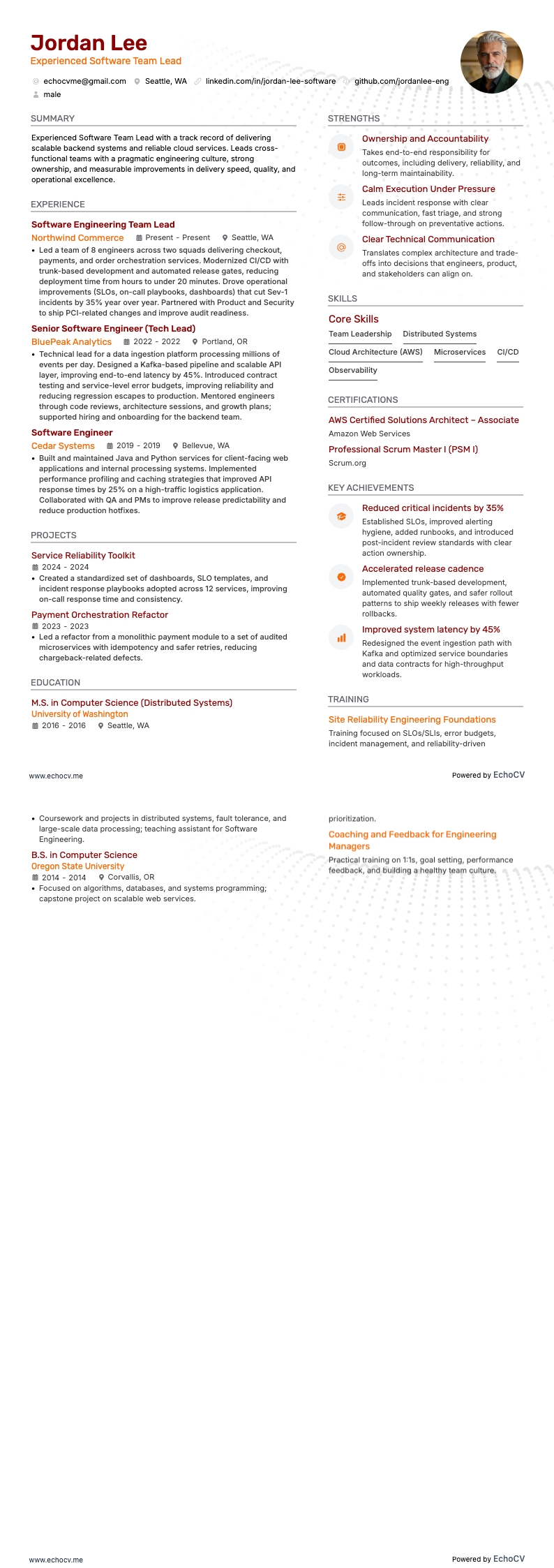 Experienced Software Team Lead example resume
