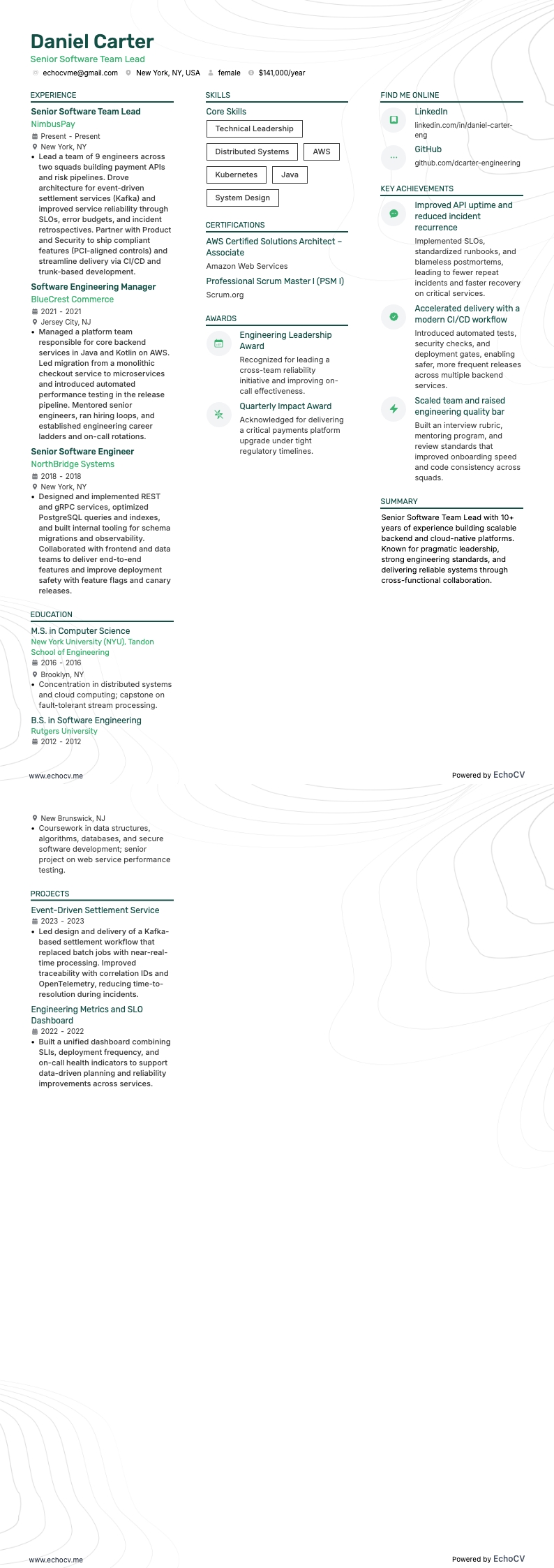 Senior Software Team Lead full preview