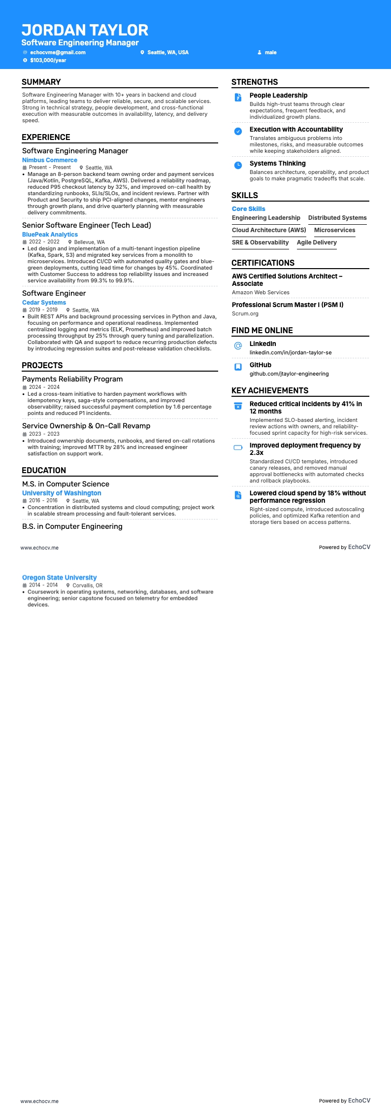 Leiter Softwareentwicklung example resume