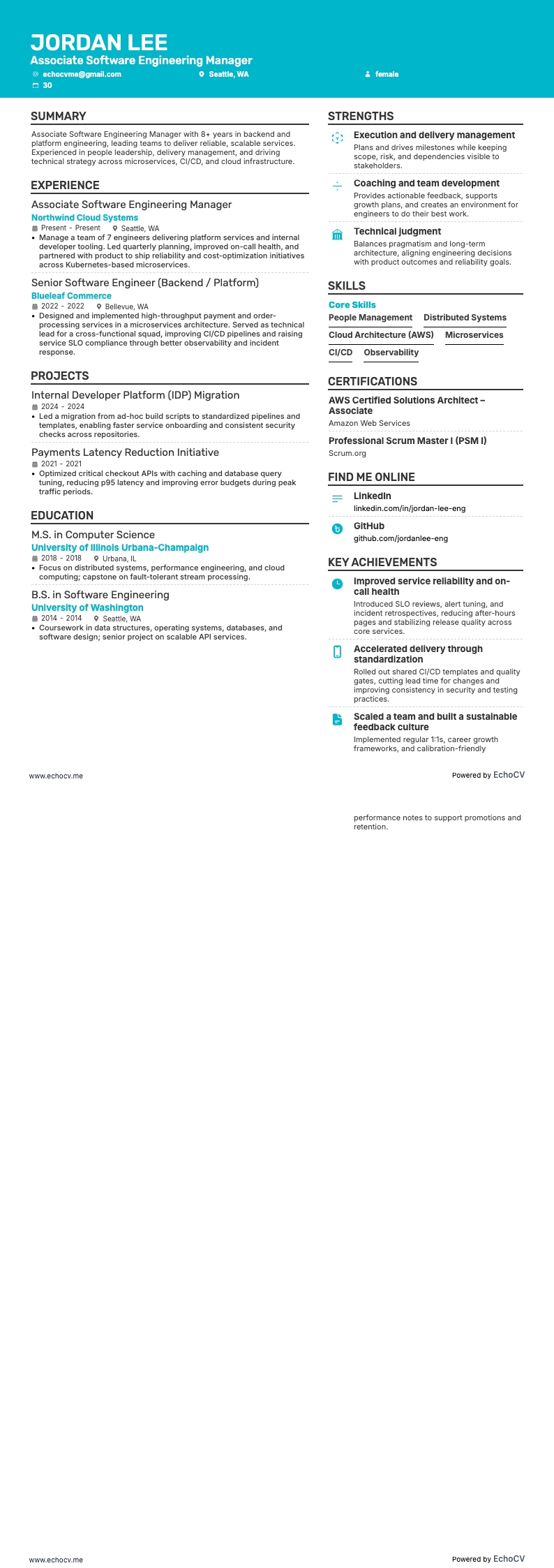 Stellvertretender Softwareentwicklungsmanager example resume