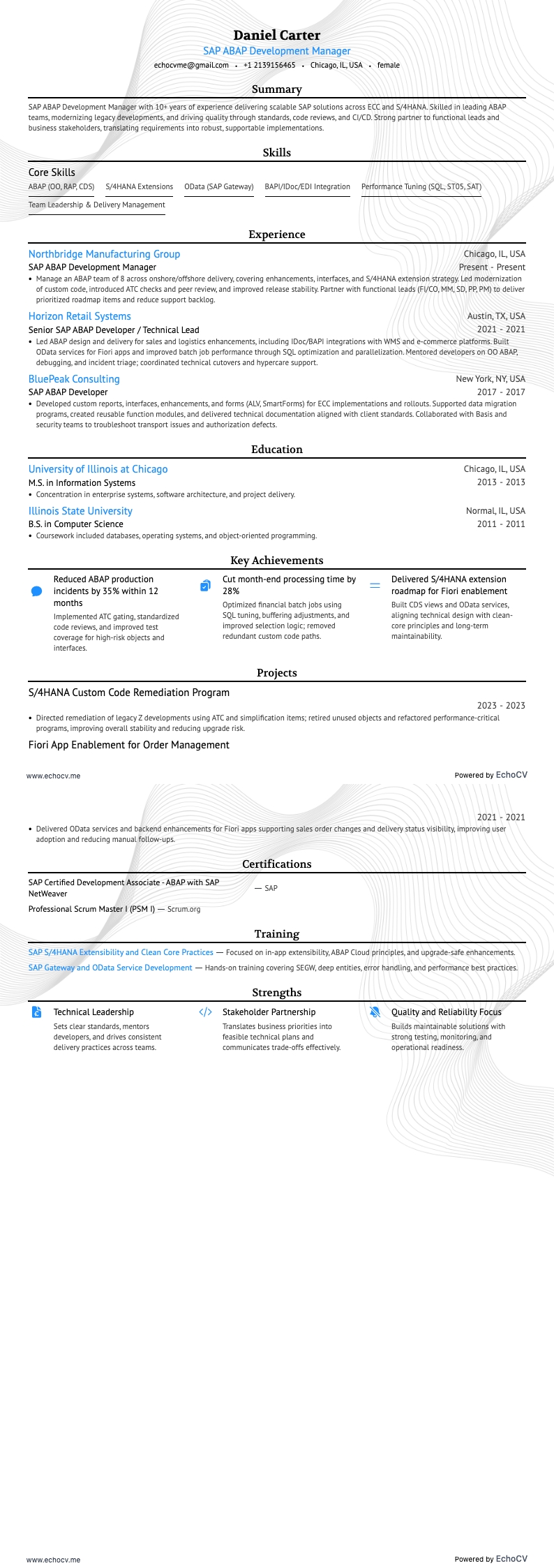 SAP ABAP开发经理 完整预览