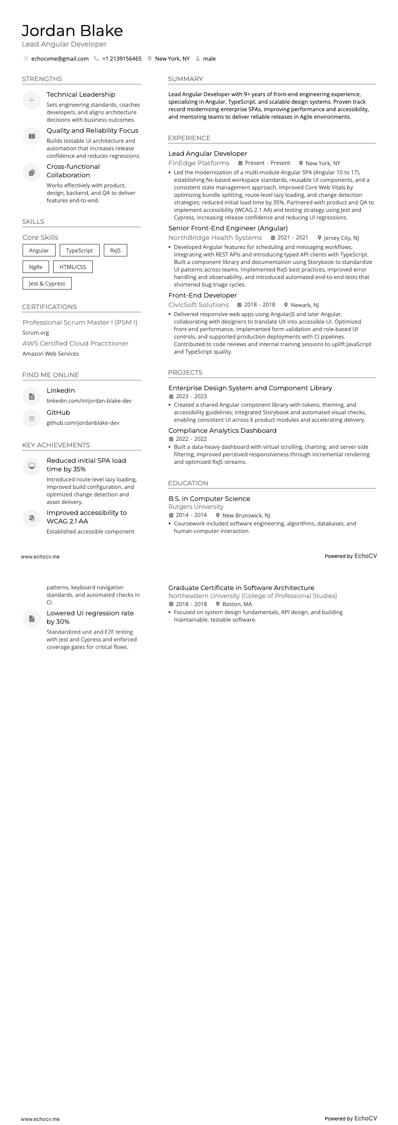 Lead Angular Developer full preview