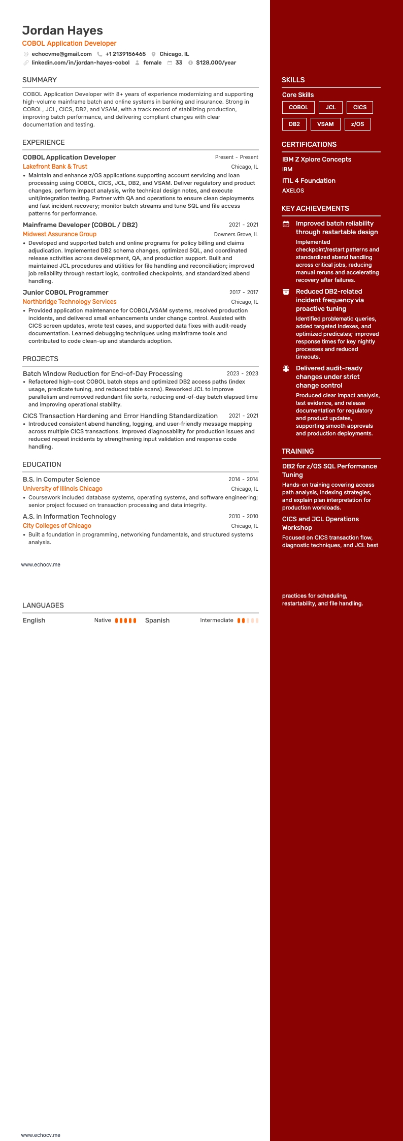 COBOL-applicatieontwikkelaar example resume