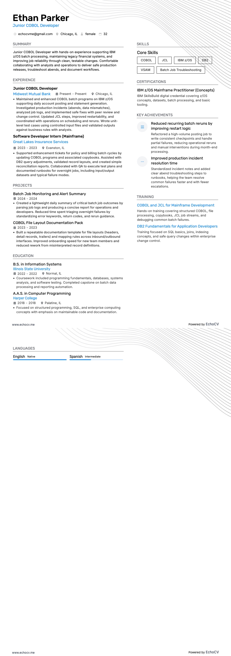 Cobol-ontwikkelaar resume example