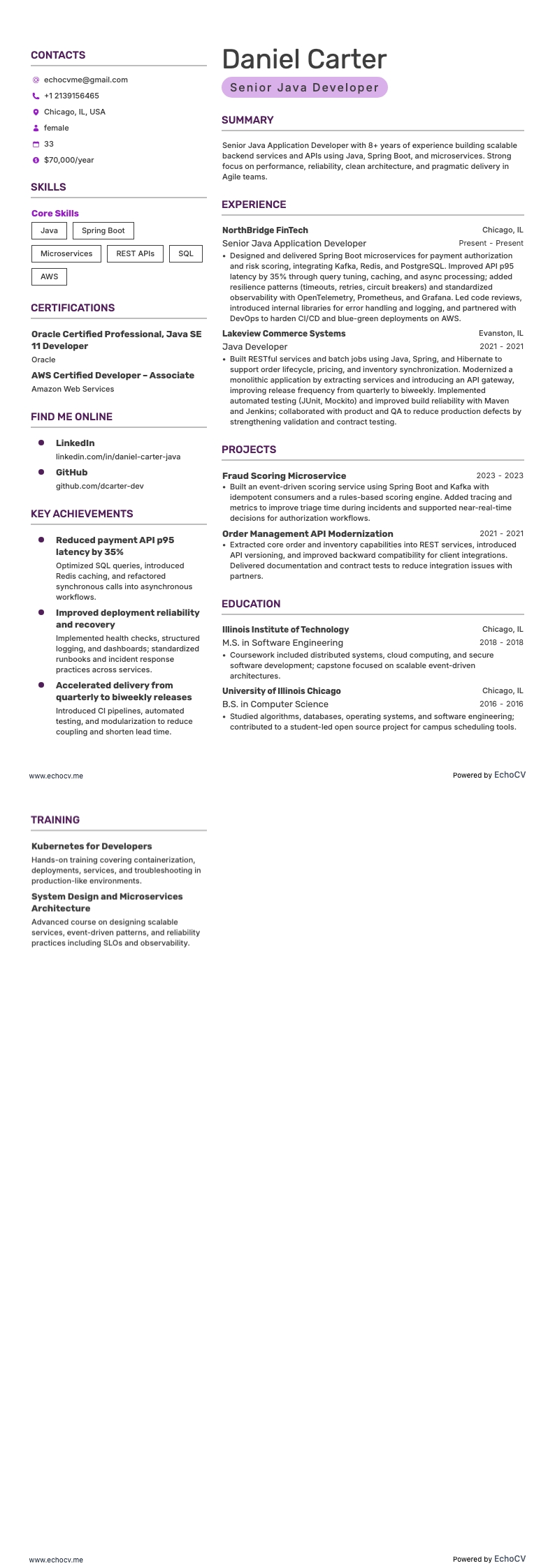 Java 애플리케이션 개발자 example resume