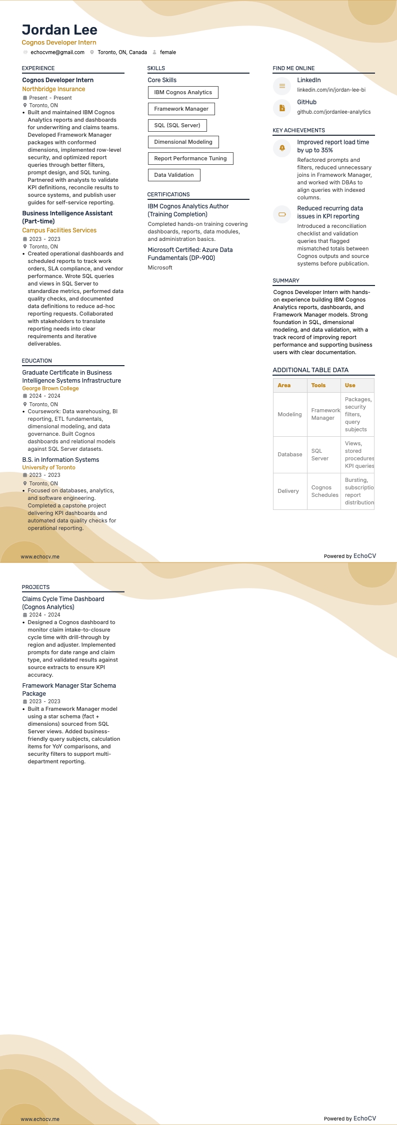 Cognos Developer Intern example resume