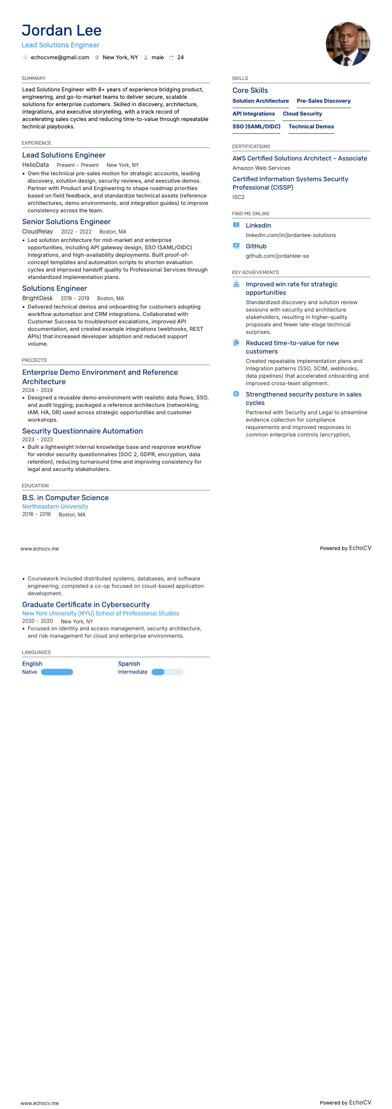 Lead Solutions Engineer example resume
