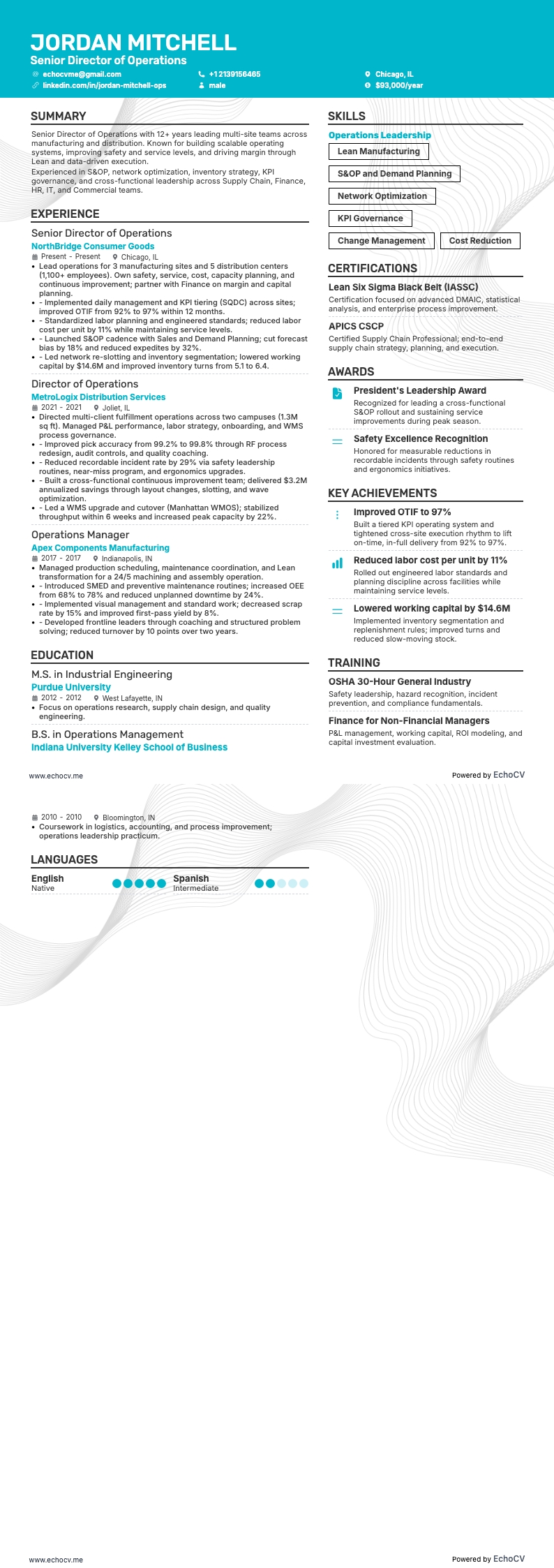 Giám đốc điều hành vận hành cấp cao example resume