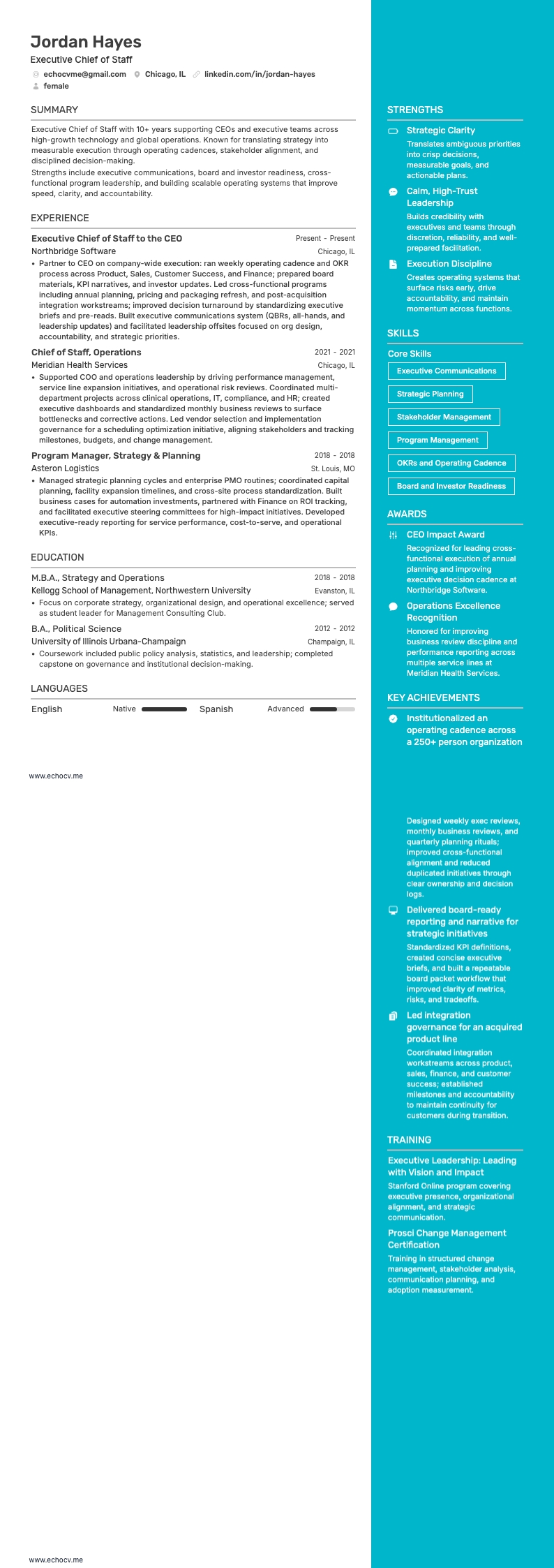 Capo di gabinetto esecutivo example resume