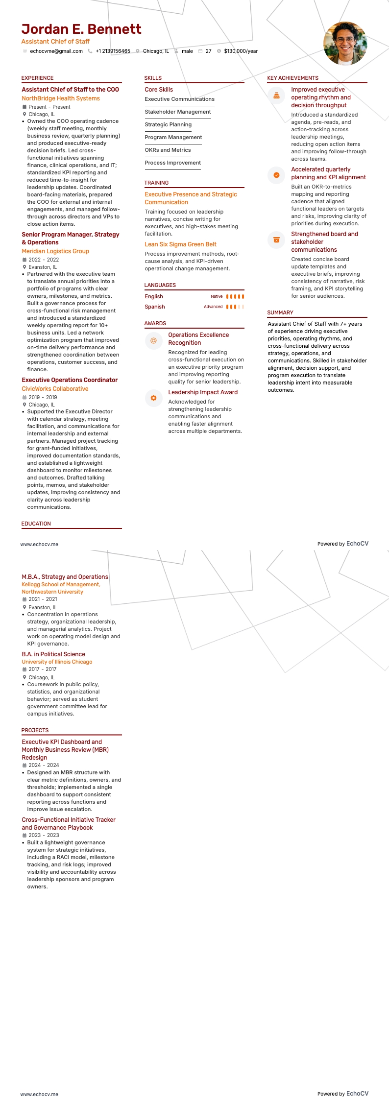 Vice capo di gabinetto example resume