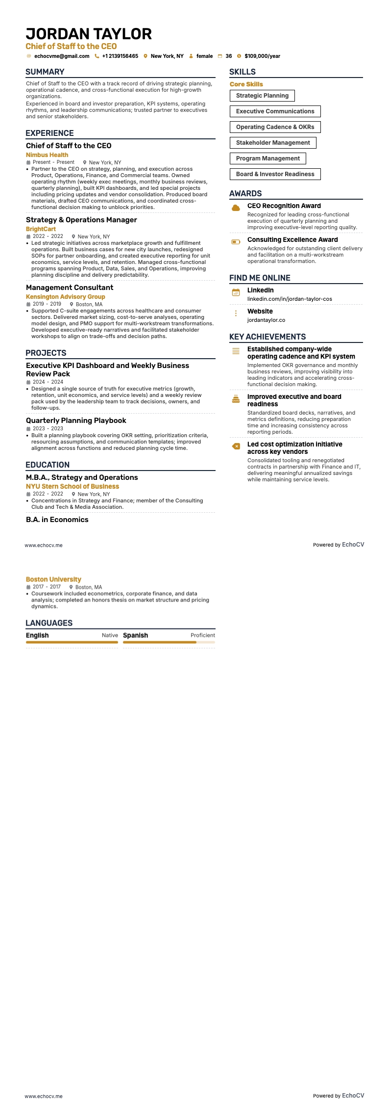 Capo di gabinetto del CEO example resume