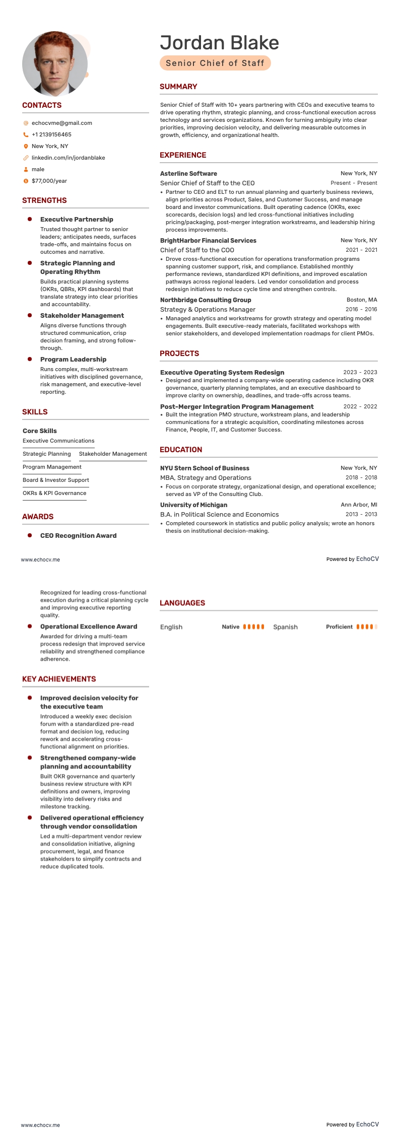 Capo di Gabinetto Senior example resume