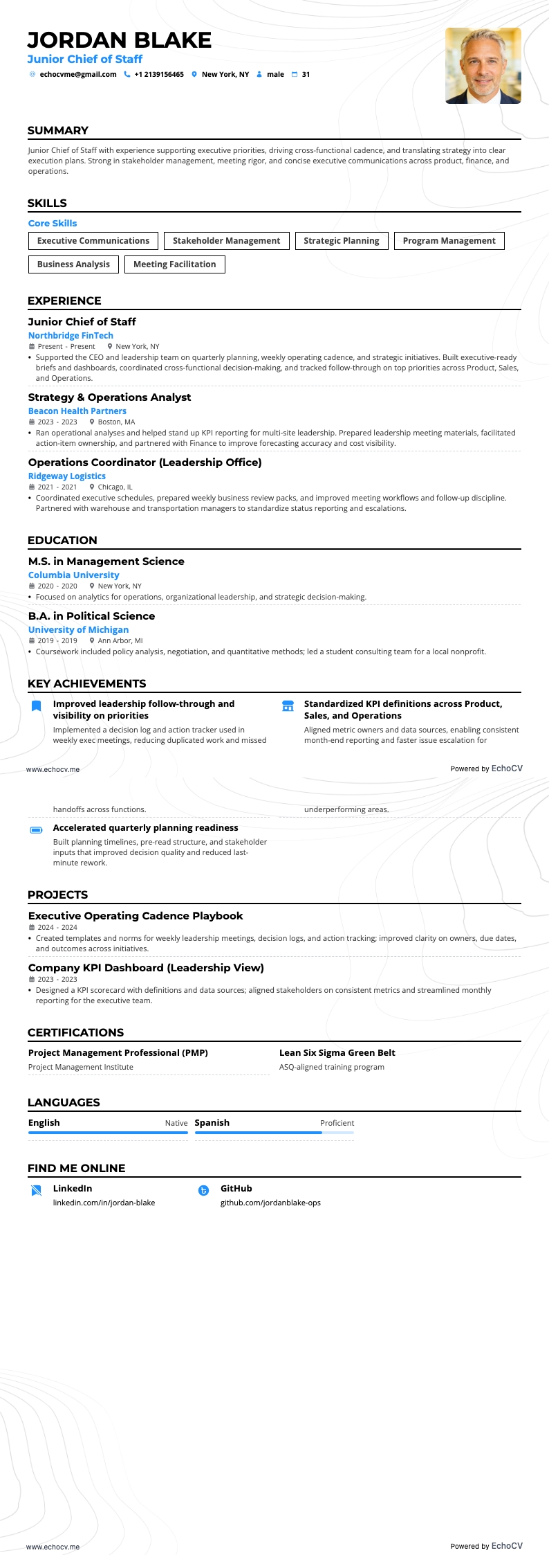 Capo di gabinetto resume example