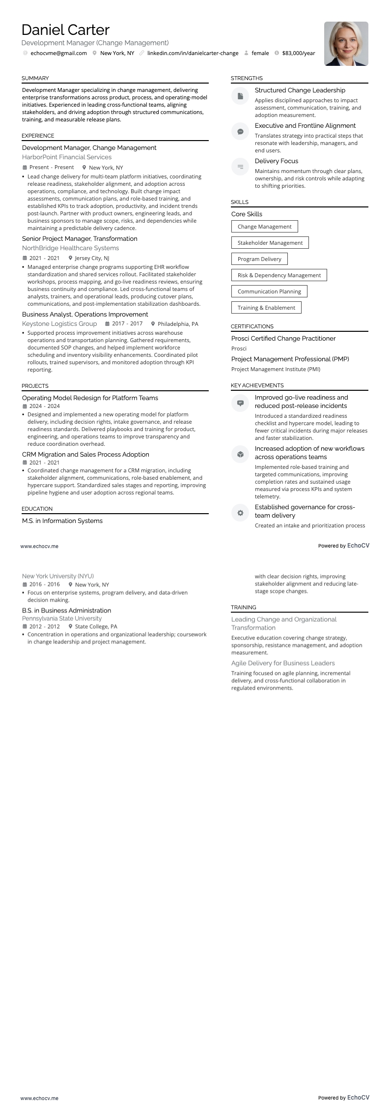 Development Manager example resume