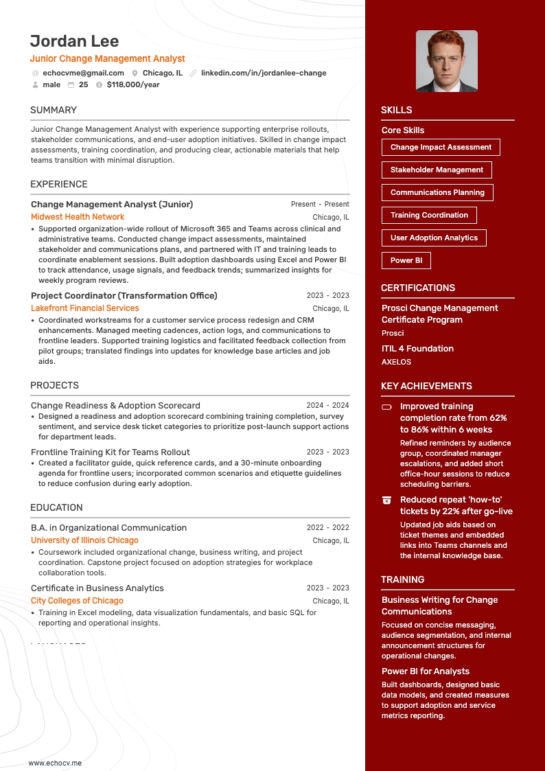 Junior Change Management Analyst example resume
