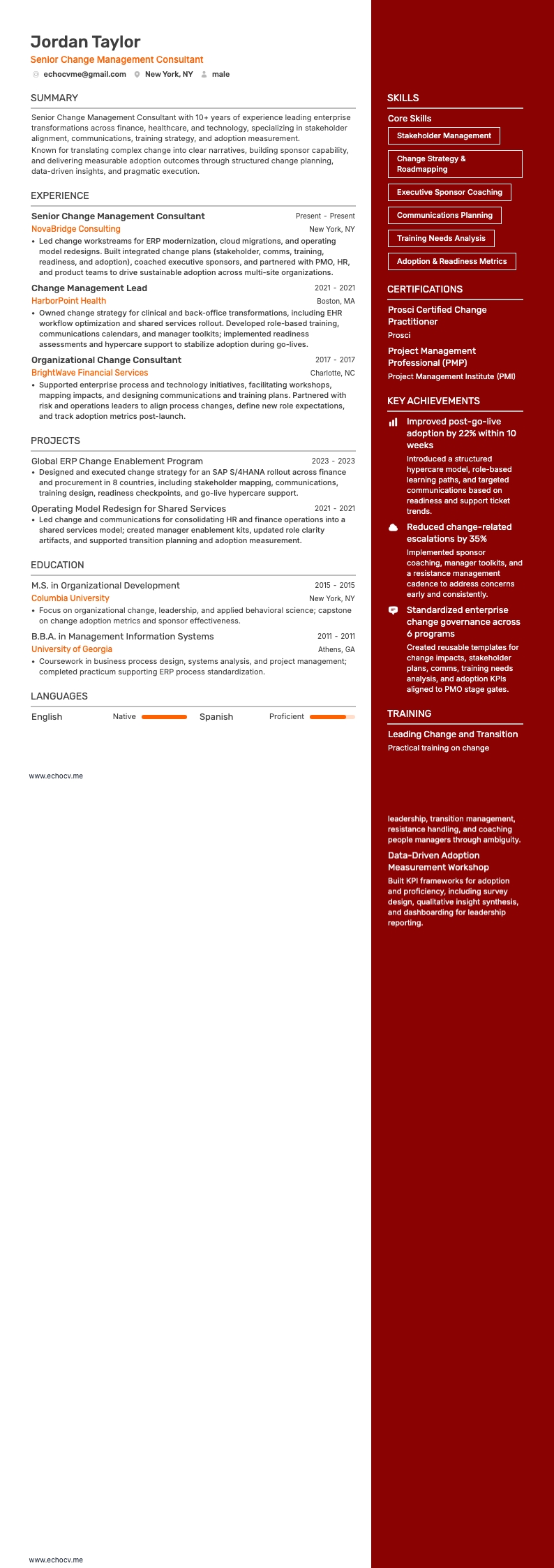 Senior Change Management Consultant example resume