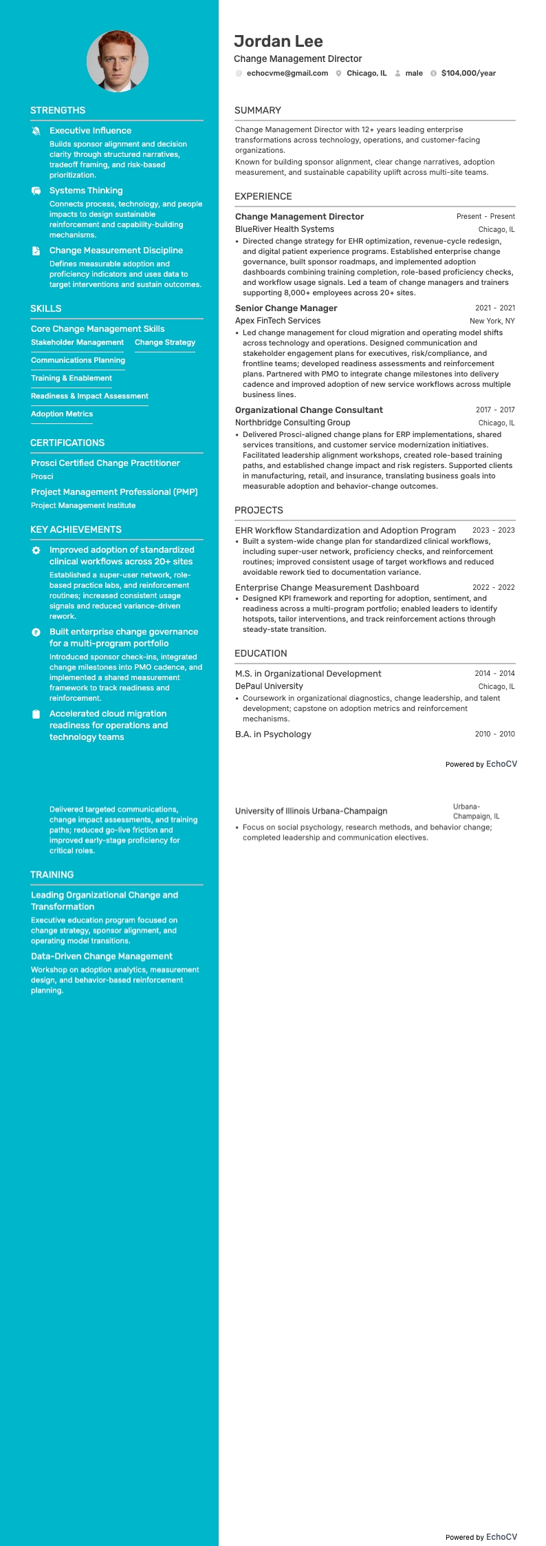 Change Management Director example resume