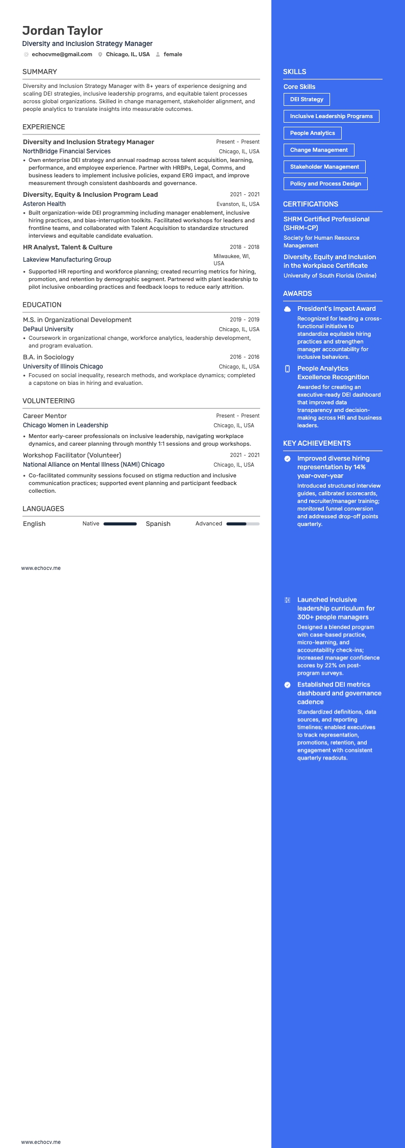 Diversity and Inclusion Strategy Manager example resume