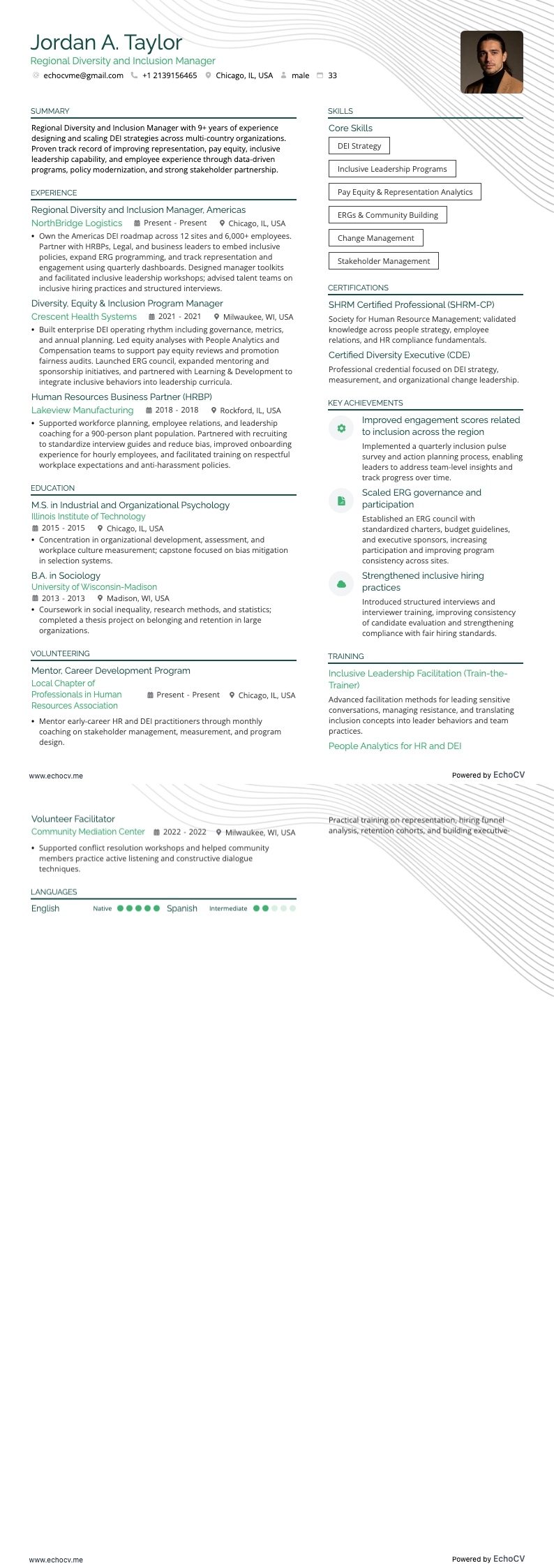 Regional Diversity and Inclusion Manager example resume