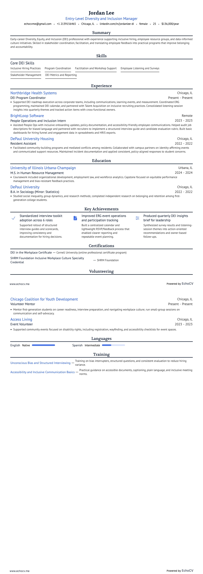 Entry-Level Diversity and Inclusion Manager full preview
