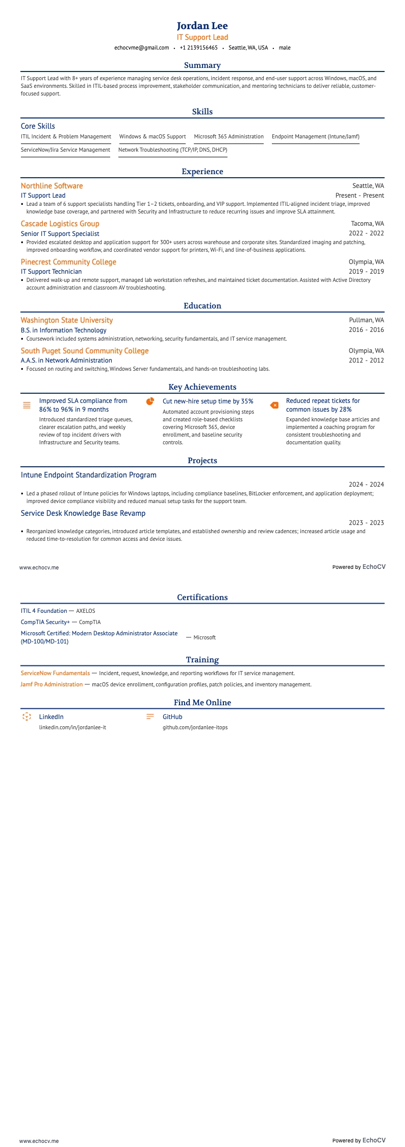 IT Support Lead example resume