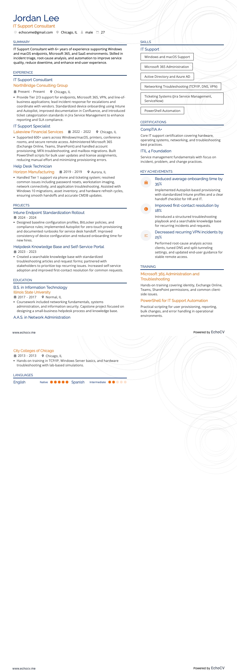 IT Support Consultant example resume