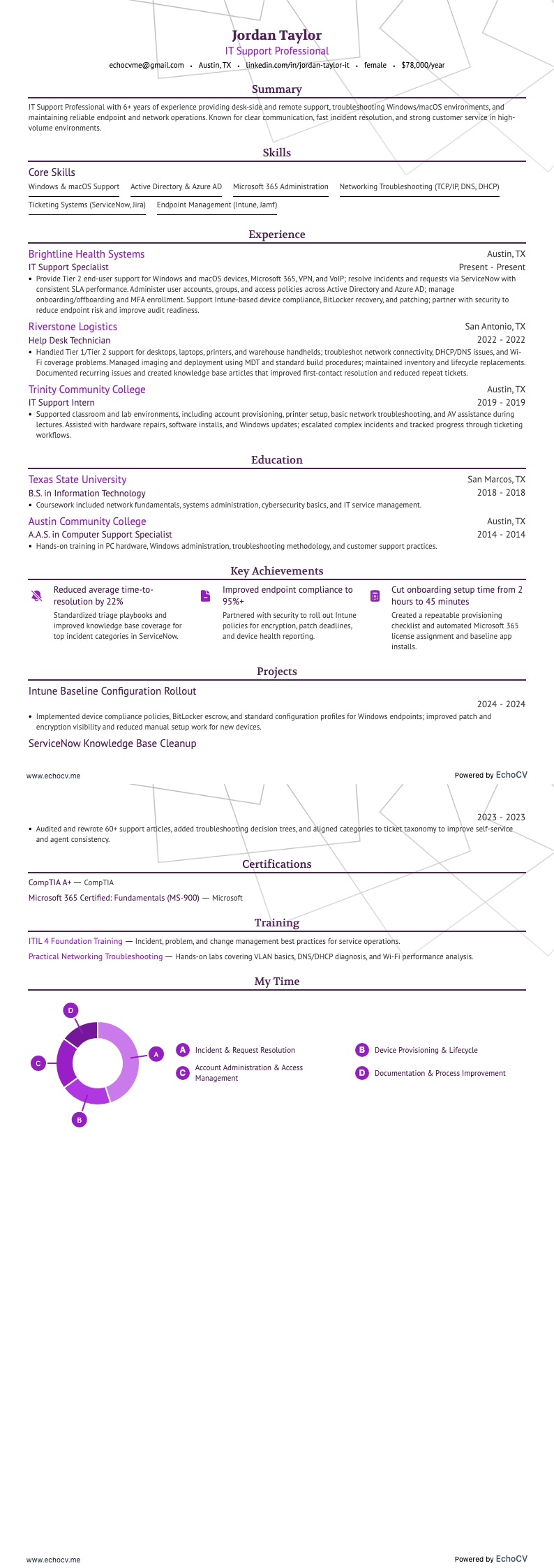 IT Support Professional example resume