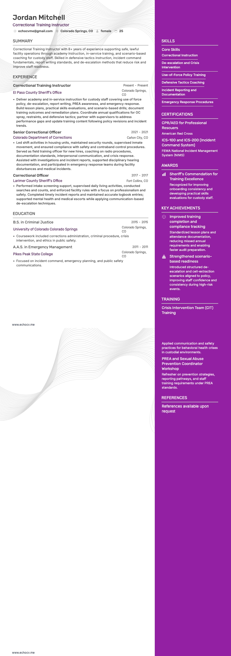 惩教培训讲师 example resume