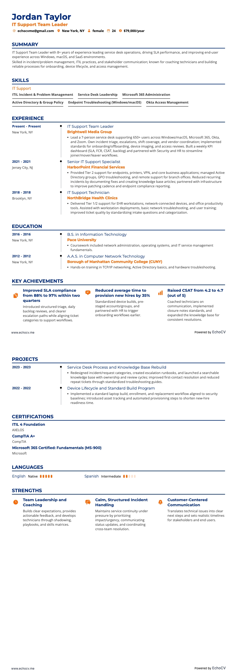 IT Support Team Leader example resume