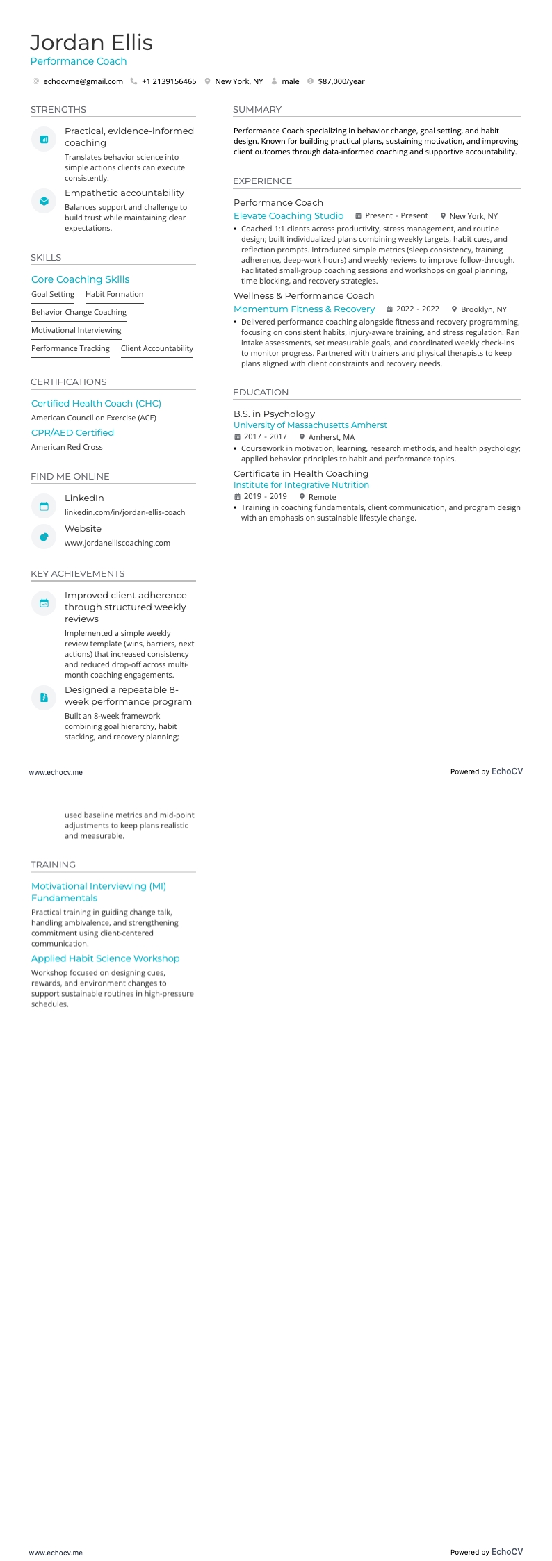 Performance Coach example resume