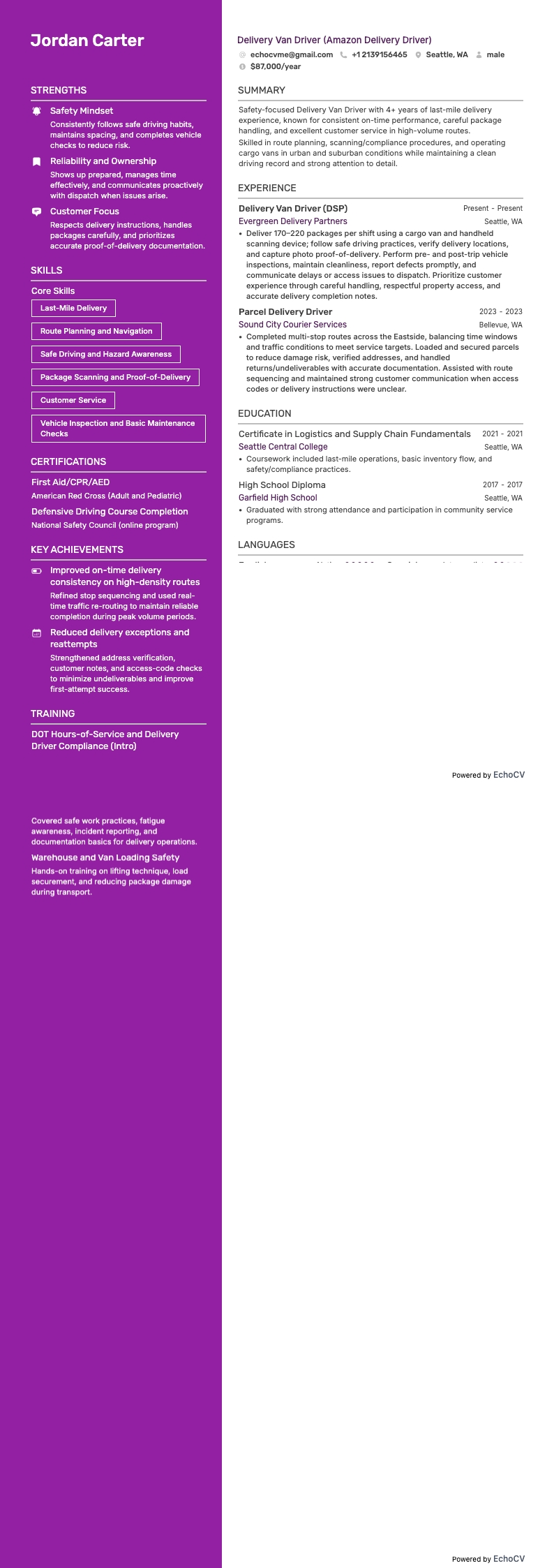 Chauffeur-livreur Amazon resume example