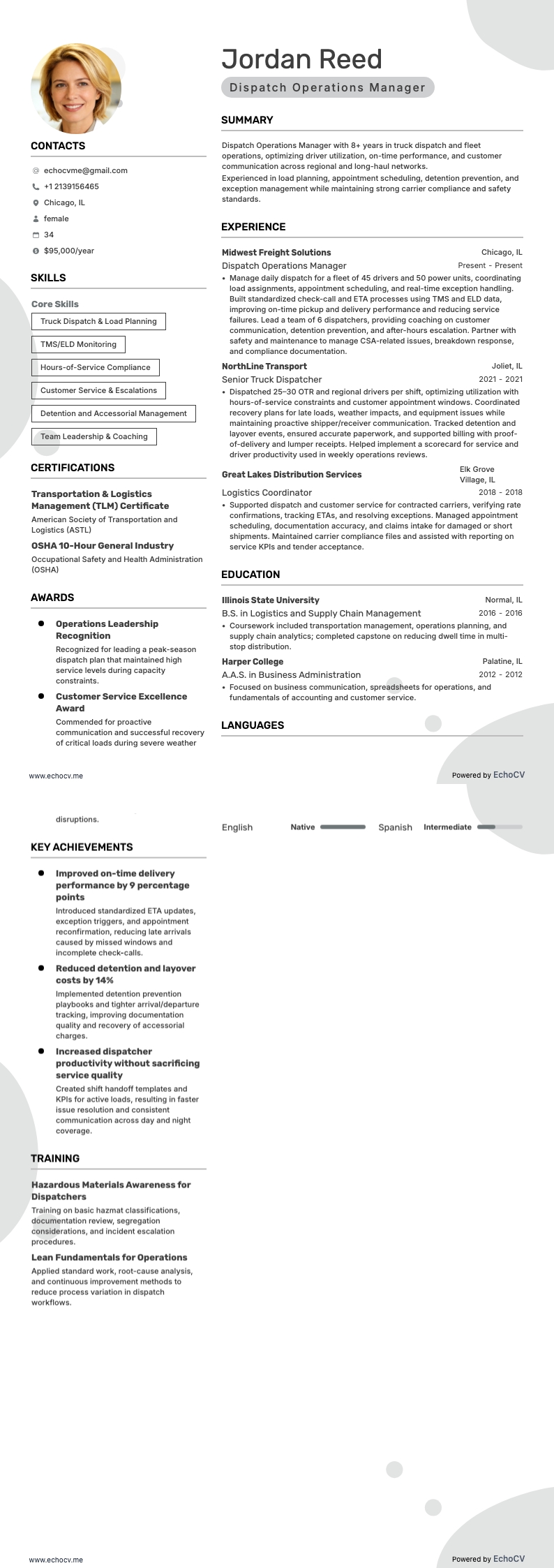 Truckdispatcher resume example