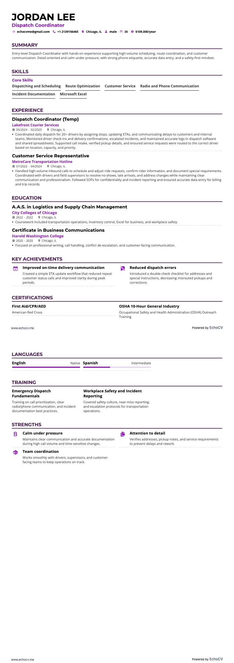 Dispatchcoördinator example resume