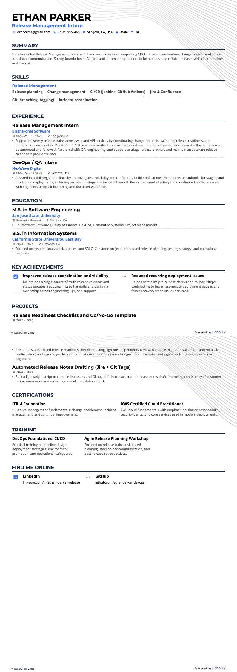 Release Manager resume example