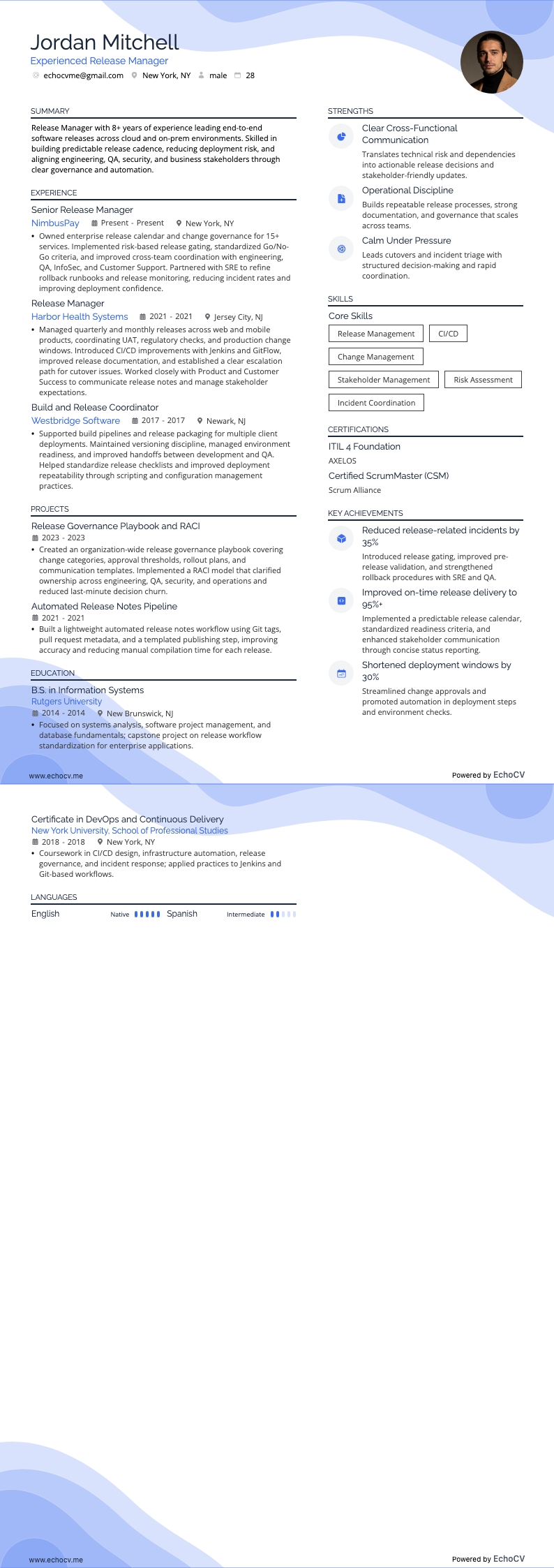 Experienced Release Manager example resume