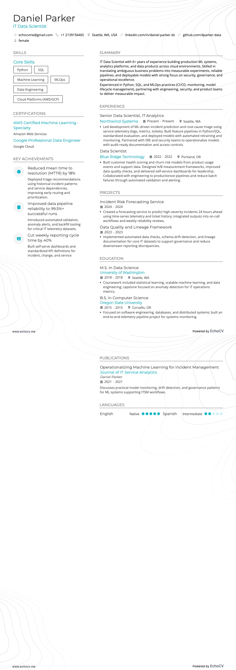 ITデータサイエンティスト example resume