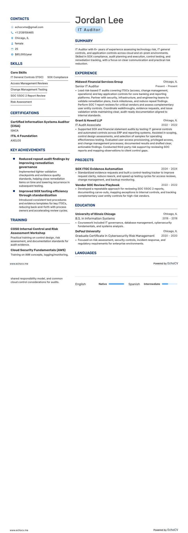 IT監査人 example resume