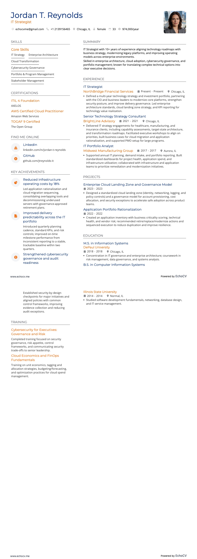 IT戦略担当者 example resume