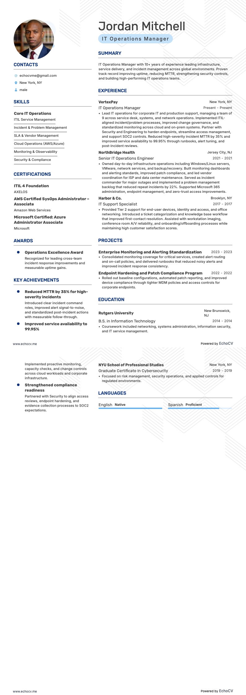 IT運用マネージャー example resume