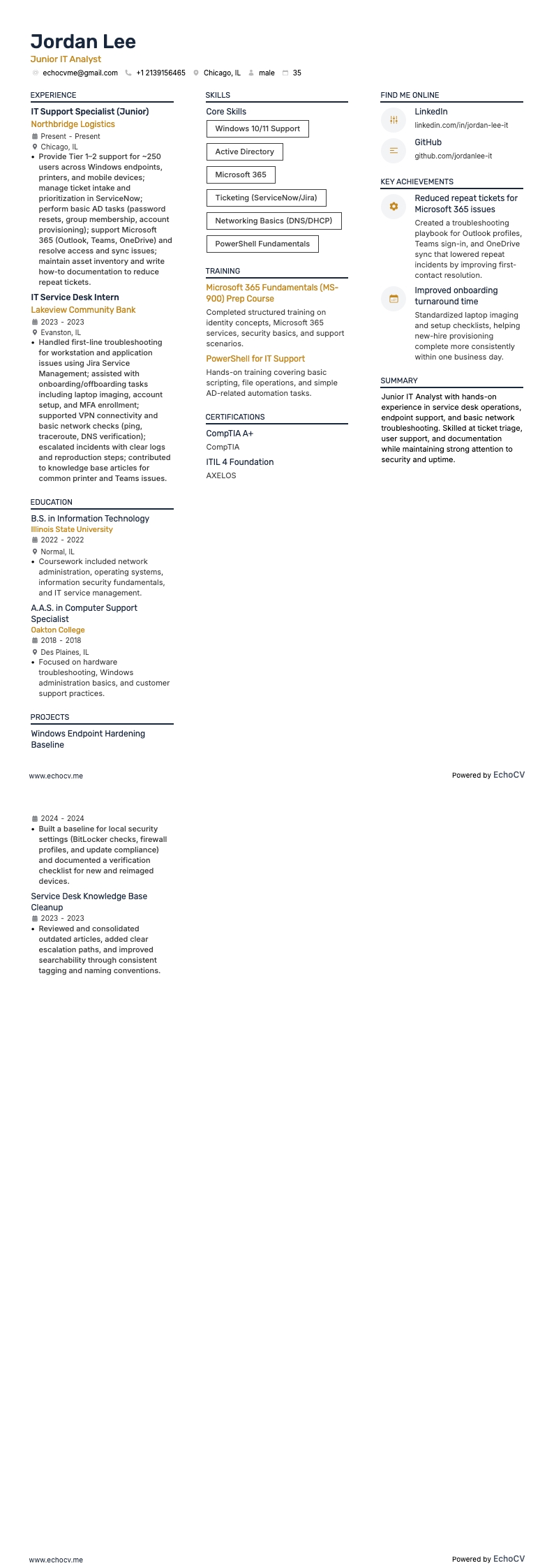 ジュニアITアナリスト example resume