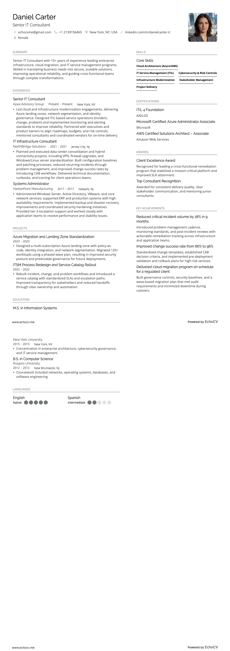 シニアITコンサルタント example resume