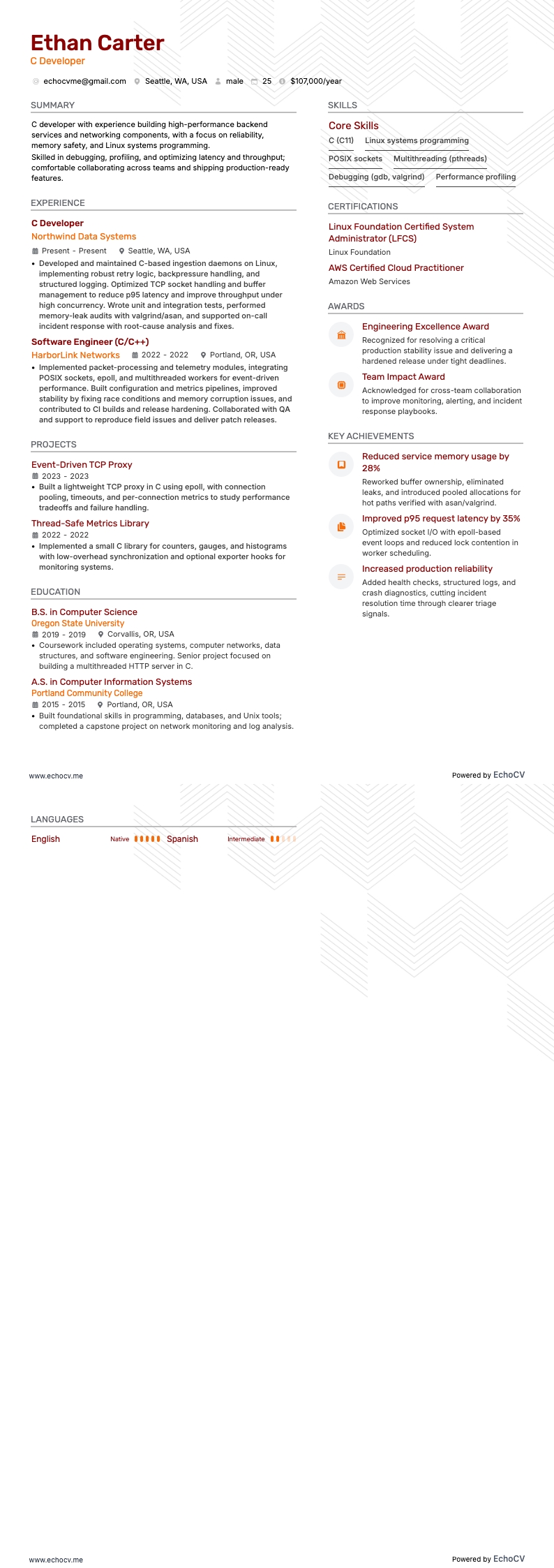 C Developer example resume