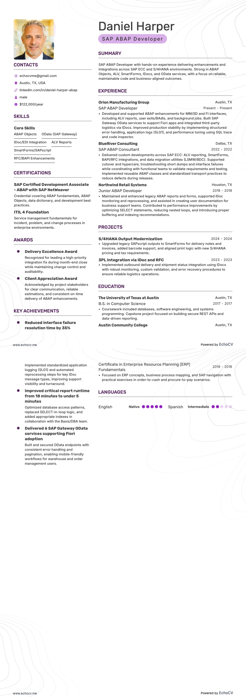 SAP Abap Developer example resume