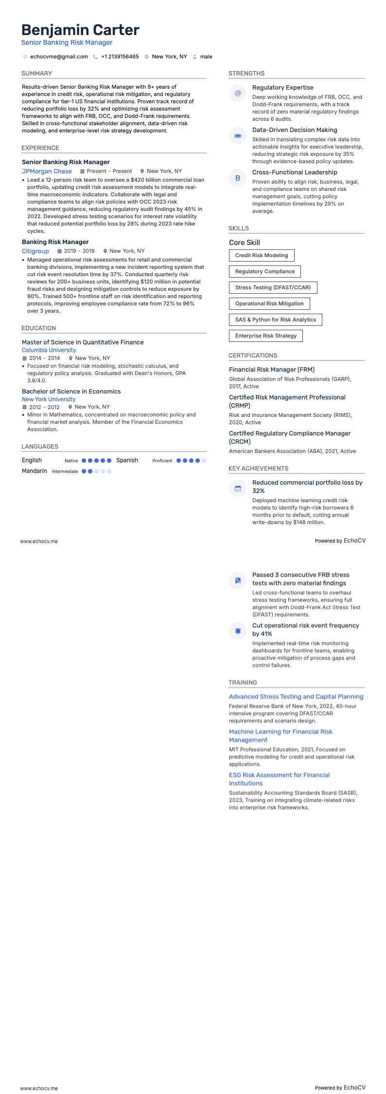 Senior Banking Risk Manager example resume