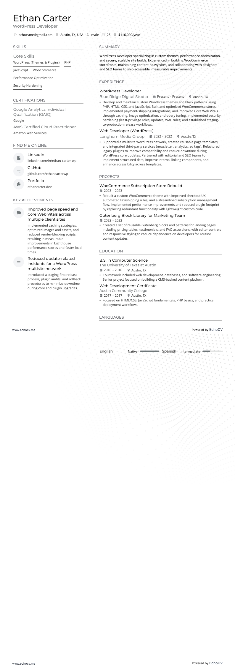 Wordpress Developer example resume