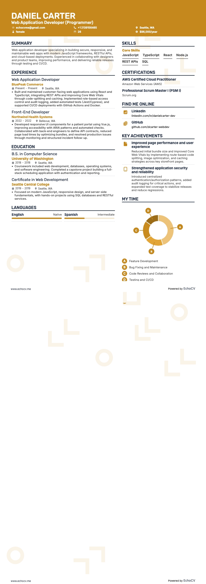 Web Application Developer (Programmer) example resume